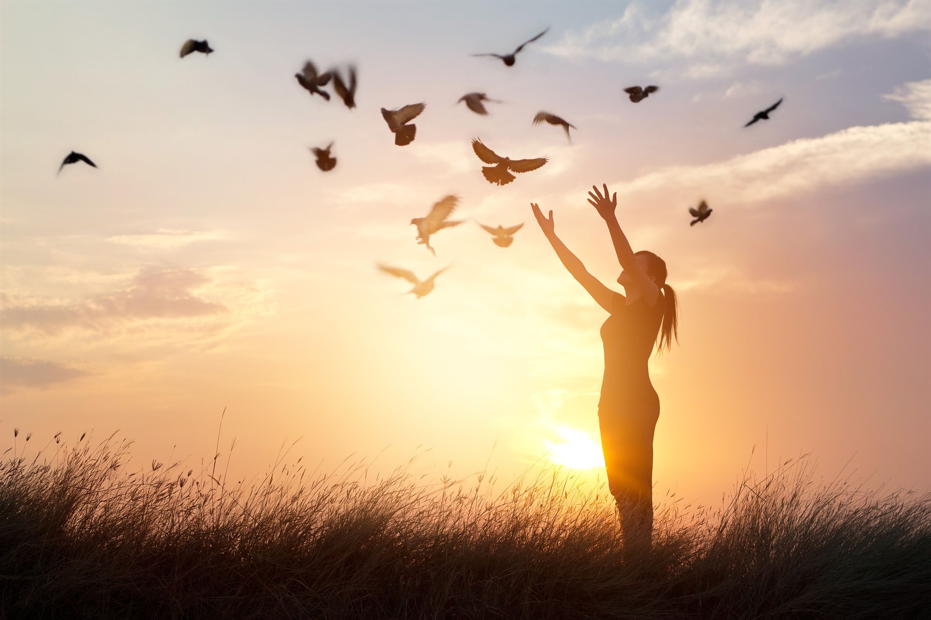 Woman praying and free bird enjoying nature on sunset background